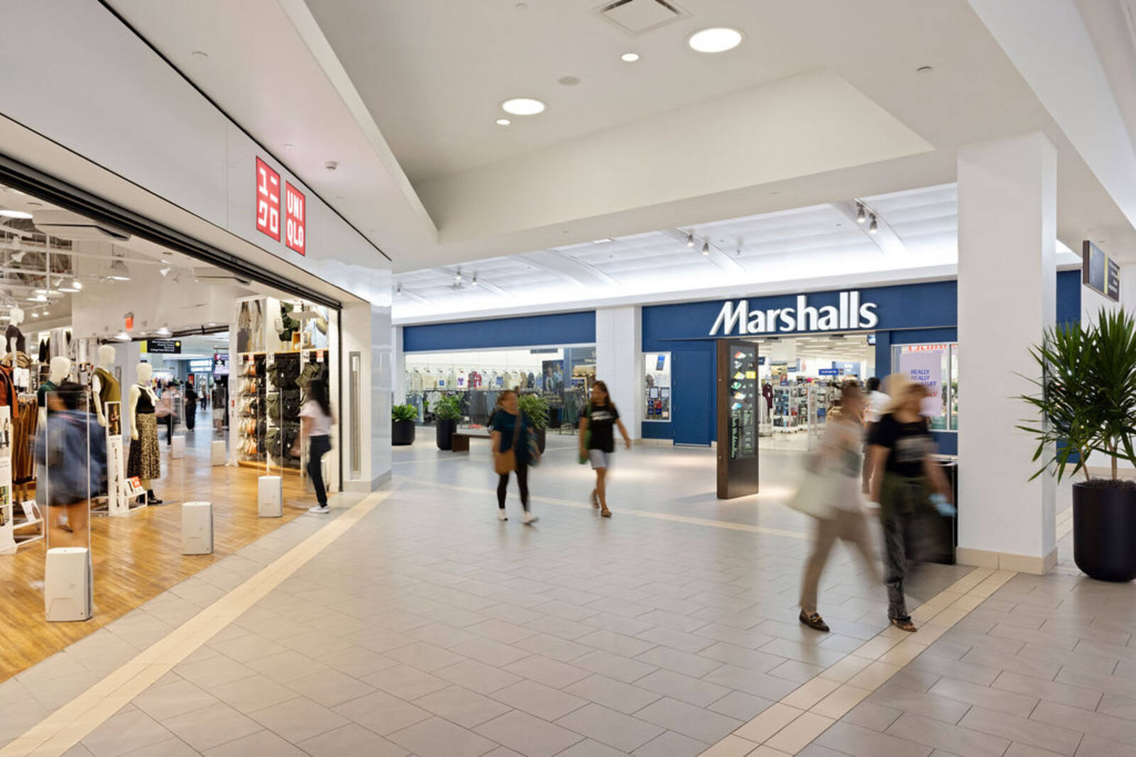 the shops at skyview