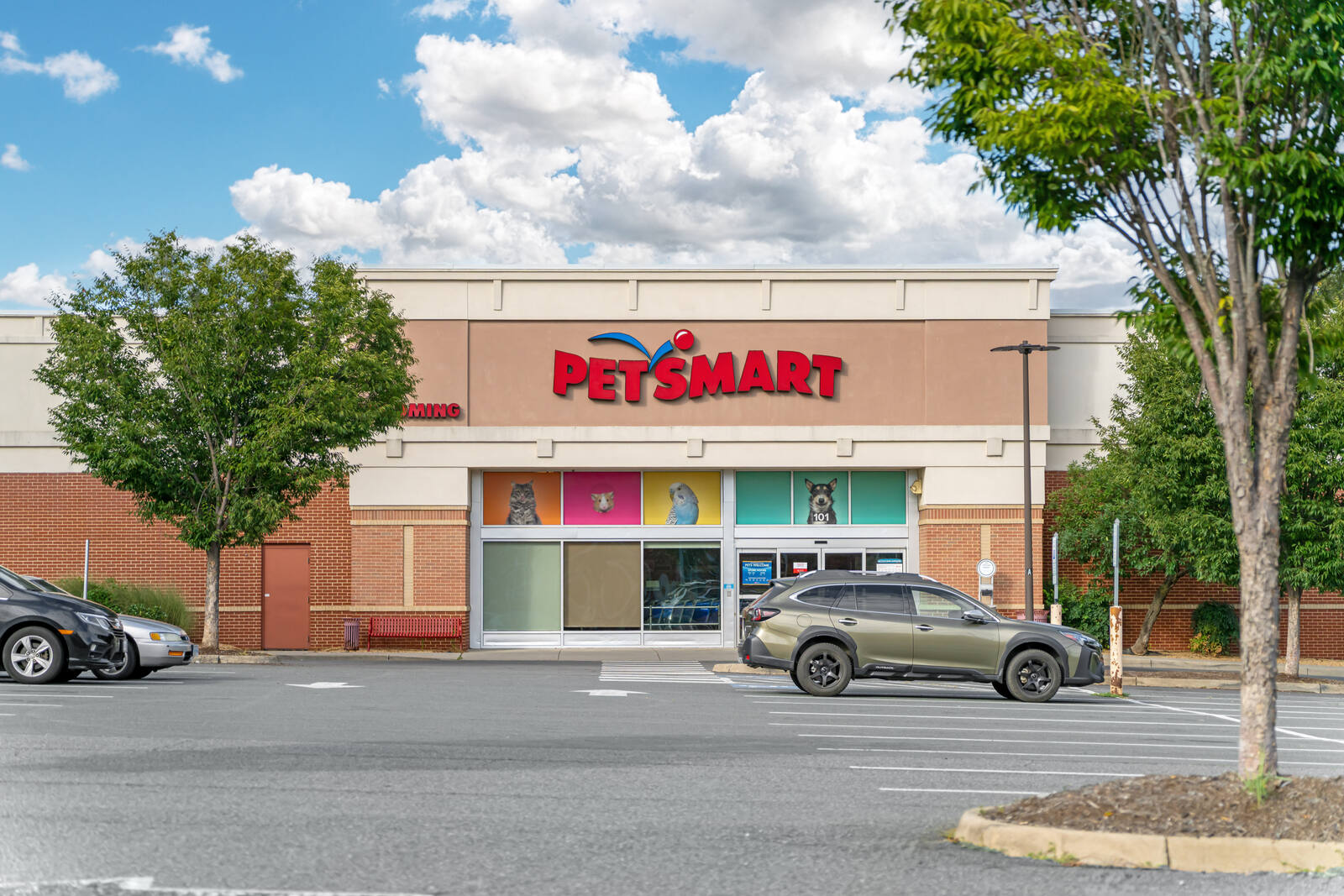 hollymead town center