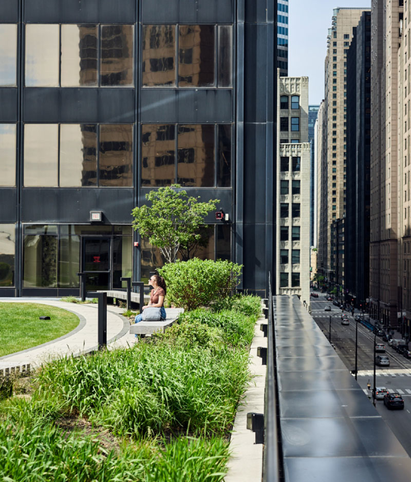 green park in the middle of several tall buildings
